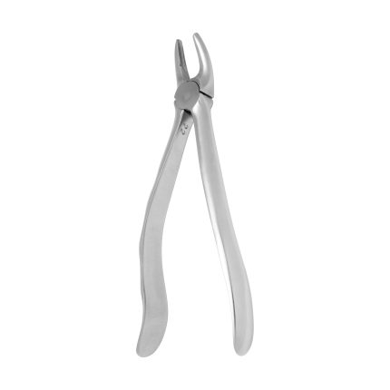 EXTRACT 650 - Extracting forceps # 7