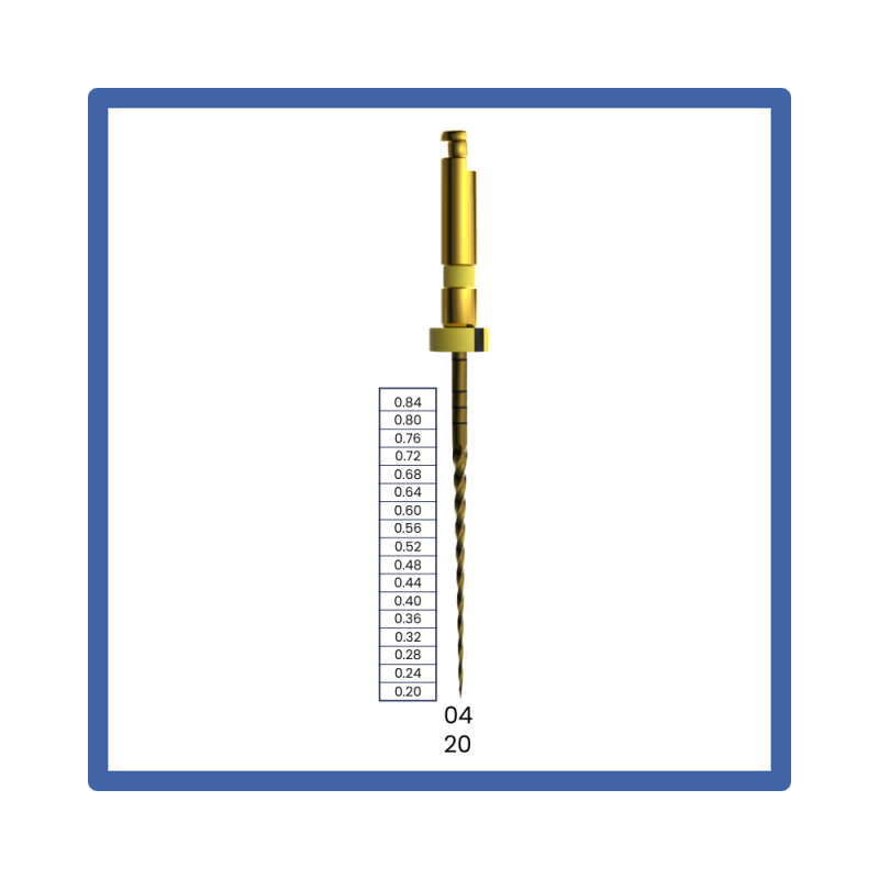 E-Flex Series, E-Flex Gold 6PCS Tip: 20 Taper: 04 Length: 25